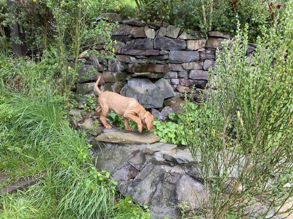 fergus 12may20210000