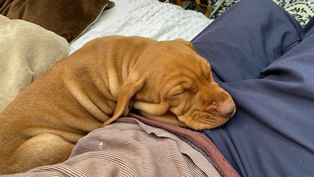 fergus 12may20210001