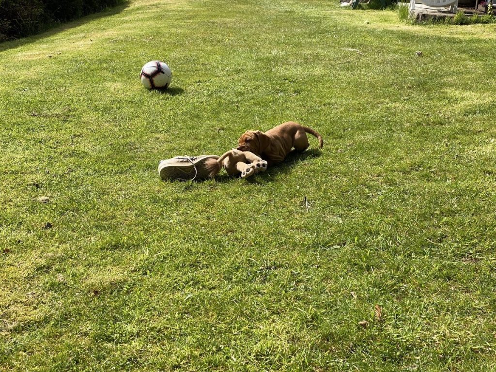 fergus 12may20210003