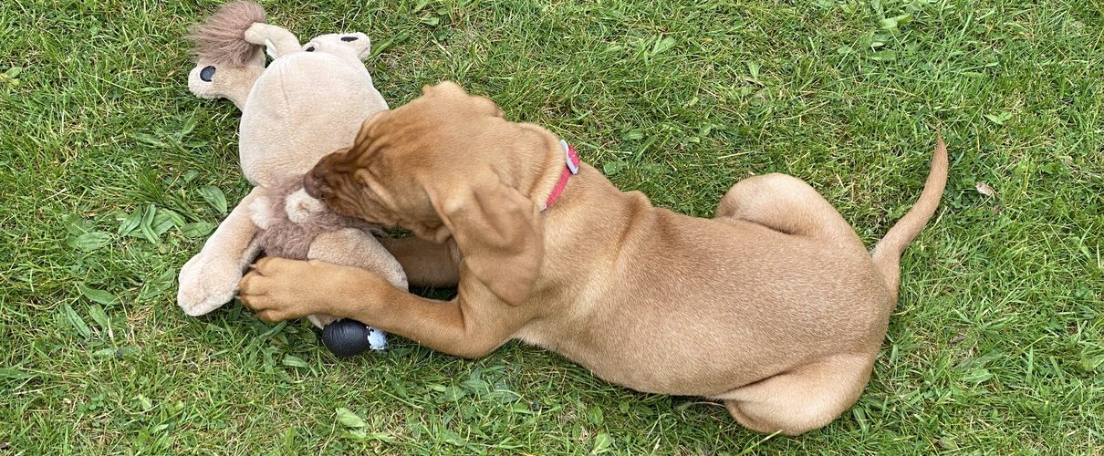 fergus 14may20210000