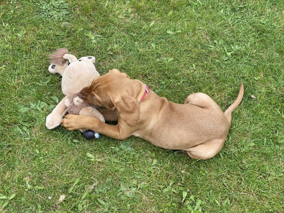 fergus 14may20210000