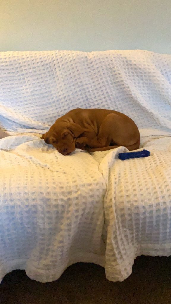 fergus 14may20210001