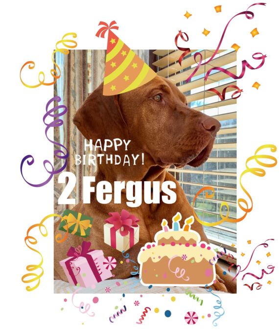 fergus birthday 20230000 1