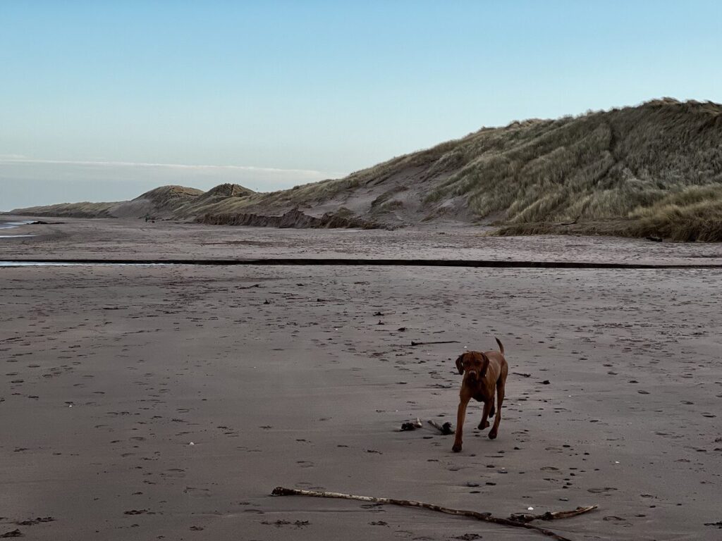 fergus cocklawburn beach0000