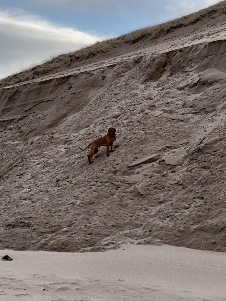 fergus cocklawburn beach0002
