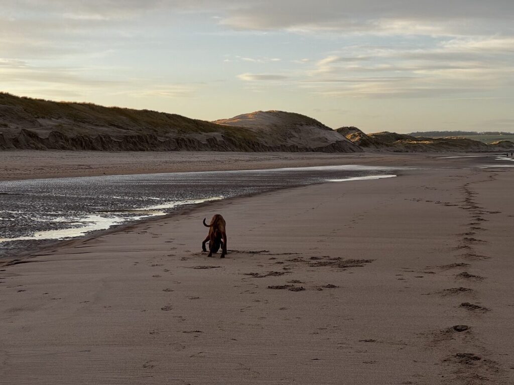 fergus cocklawburn beach0007