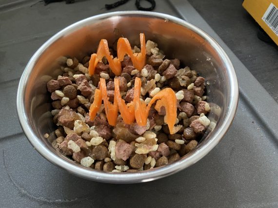 fergus diary3 puppy0000