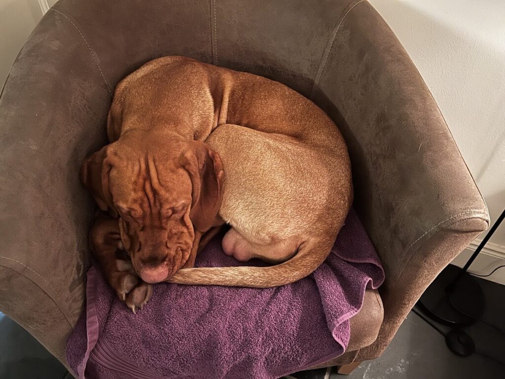 fergus glencoe 20220002