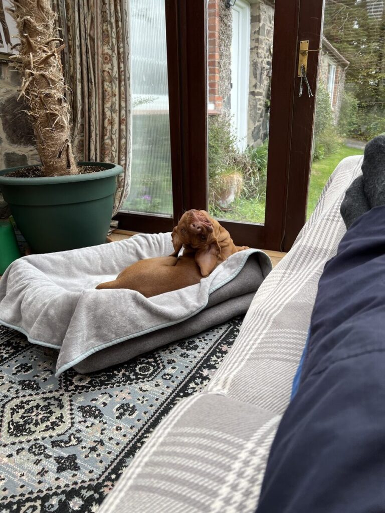 Fergus