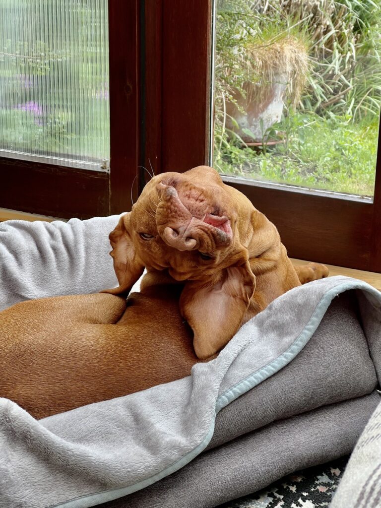 Fergus