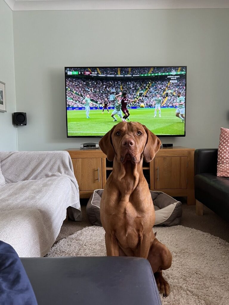 Fergus