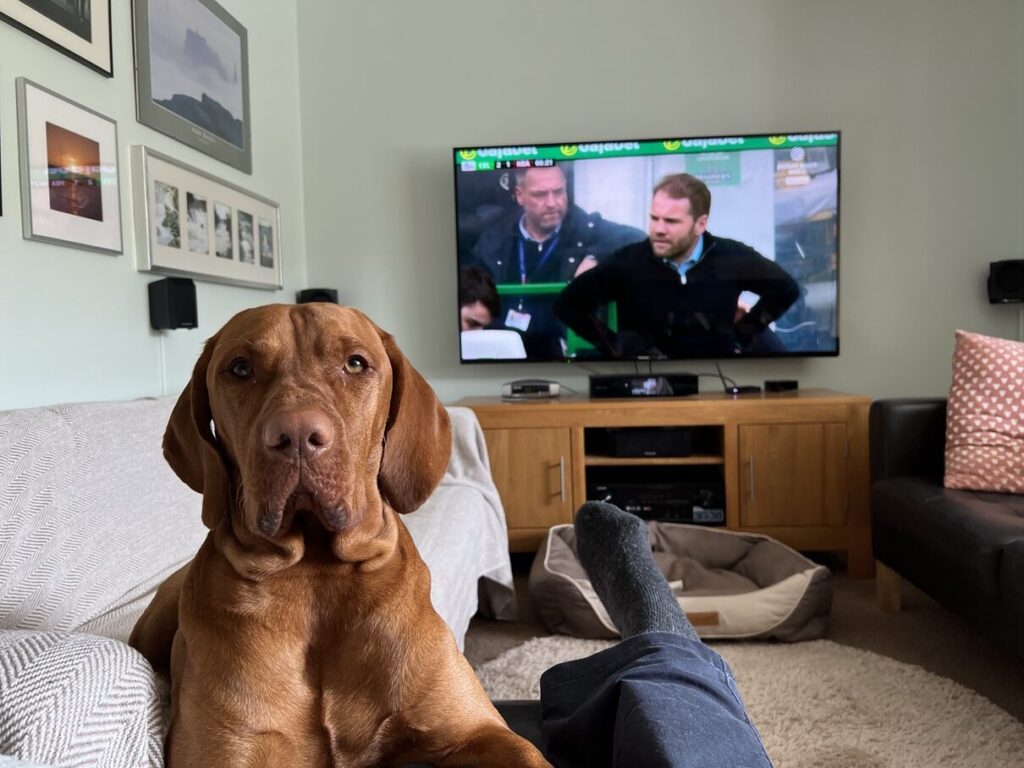 Fergus
